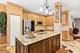 1002 Tuscany, Streamwood, IL 60107