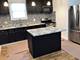 6712 S St Lawrence Unit 1, Chicago, IL 60637