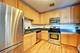 910 S Michigan Unit 1003, Chicago, IL 60605