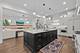328 S Loomis, Naperville, IL 60540