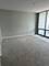8 E Randolph Unit 1602, Chicago, IL 60601