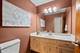 3916 Falcon, Naperville, IL 60564