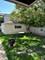 2219 W Addison Unit 1, Chicago, IL 60618