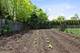 1265 Longmeadow, Glencoe, IL 60022