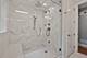 840 W Lill Unit PH, Chicago, IL 60614