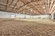 708 S Rose Farm, Woodstock, IL 60098