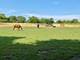 708 S Rose Farm, Woodstock, IL 60098