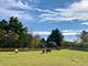 708 S Rose Farm, Woodstock, IL 60098