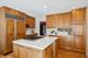2851 Canterbury, Northbrook, IL 60062
