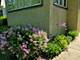 838 Linden, Oak Park, IL 60302