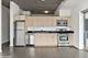 1620 S Michigan Unit 1107, Chicago, IL 60616