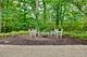 131 Moffett, Lake Bluff, IL 60044