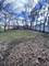 113 Bluff, La Grange, IL 60525