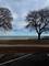 544 Sheridan Unit 3W, Evanston, IL 60202