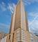 545 N Dearborn Unit 2606, Chicago, IL 60654