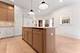 1254 W Norwood, Chicago, IL 60660