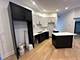 1117 W Fry Unit 2, Chicago, IL 60642
