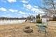 178 W Otto, New Lenox, IL 60451