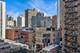 1301 N Dearborn Unit 802, Chicago, IL 60610