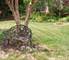 1970 Astor, Addison, IL 60101