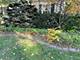 537 N Washington, Hinsdale, IL 60521