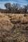 0 Deerpass, Marengo, IL 60152