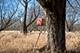 0 Deerpass, Marengo, IL 60152