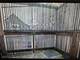 1236 W Oakdale Unit 2R, Chicago, IL 60657