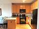 1717 S Prairie Unit 607, Chicago, IL 60616