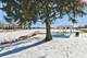 13 Echo Unit 9, Vernon Hills, IL 60061