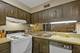 14635 Greenwood Unit 103, Dolton, IL 60419