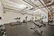1800 W Grace Unit 202, Chicago, IL 60613