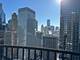 300 N State Unit 3611, Chicago, IL 60654