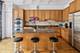 1736 S Indiana, Chicago, IL 60616