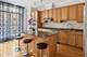 1736 S Indiana, Chicago, IL 60616