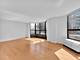 899 S Plymouth Unit 1108, Chicago, IL 60605
