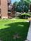 6809 N Greenview Unit 3, Chicago, IL 60626