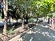2224 W Taylor, Chicago, IL 60612