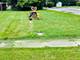 13 W 30th, Steger, IL 60475