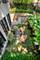 1112 W Wrightwood, Chicago, IL 60614