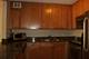 30 E Huron Unit 4601, Chicago, IL 60611