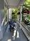 2133 W Wilson, Chicago, IL 60625
