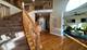 22344 Autumn, Frankfort, IL 60423