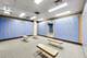 211 E Ohio Unit 508, Chicago, IL 60611