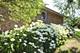 506 Stevens, Sleepy Hollow, IL 60118