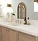 4 Kaleigh, South Barrington, IL 60010