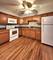 244 S Marion Unit 1B, Oak Park, IL 60302