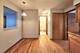 244 S Marion Unit 1B, Oak Park, IL 60302