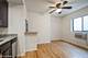 1430 N Dearborn Unit 405, Chicago, IL 60610