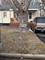 113 E Donovan, Woodstock, IL 60098